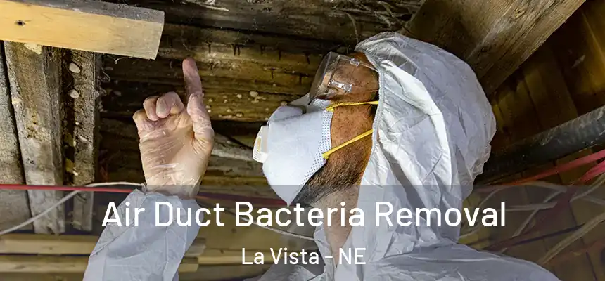  Air Duct Bacteria Removal La Vista - NE