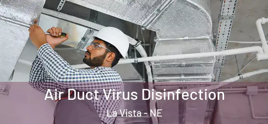  Air Duct Virus Disinfection La Vista - NE
