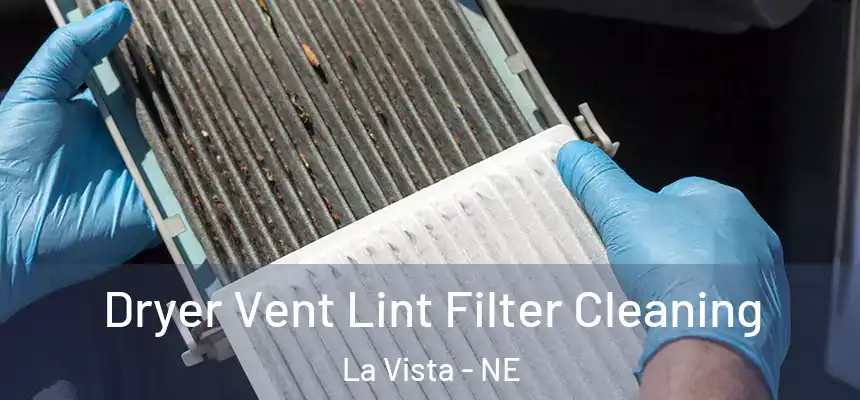  Dryer Vent Lint Filter Cleaning La Vista - NE
