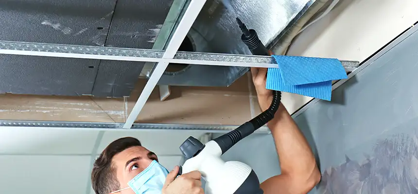Our Air Duct Rodent Removal Services in La Vista, NE