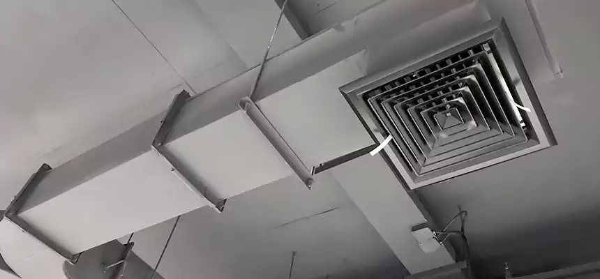 Restorative Allergy Relief Vent Cleaning – Coil, Blower & Housing Detail in La Vista