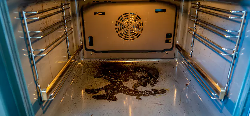 Our Dryer Vent Mold Cleaning Services in La Vista, NE