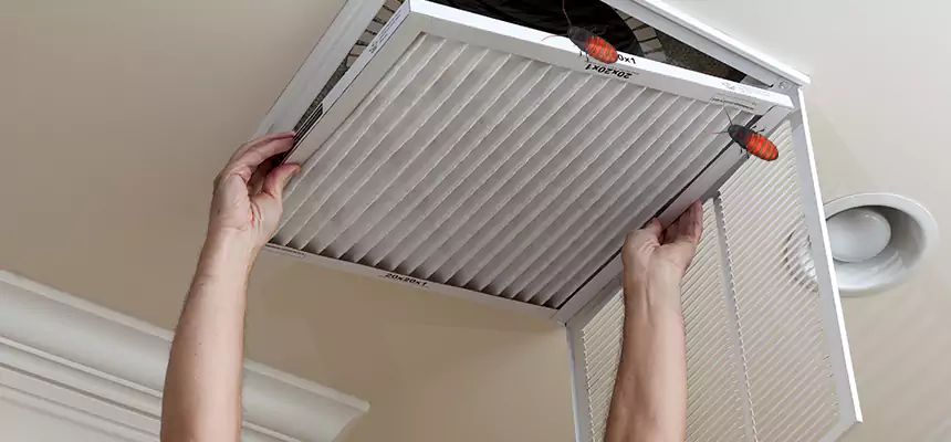 Our Insect Removal from Air Ducts Services in La Vista, NE