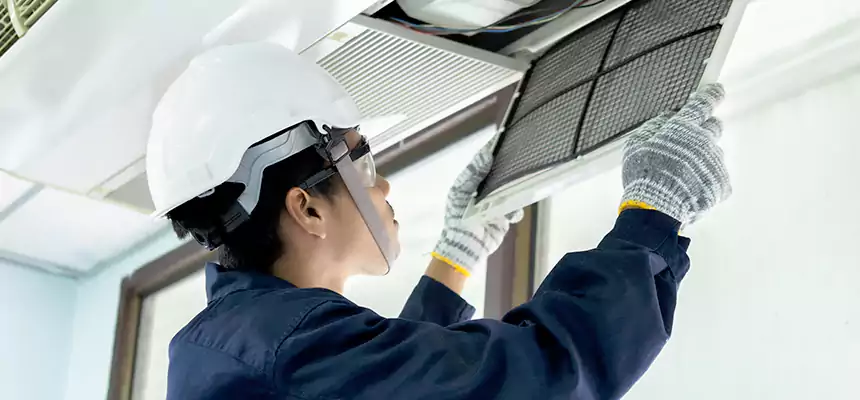 Our Mold & Mildew Removal from Air Ducts Services in La Vista, NE