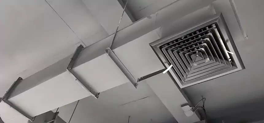 Our Pest Removal From Ducts Services in La Vista, NE