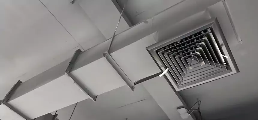 Our Rodent Droppings In Vents Services in La Vista, NE