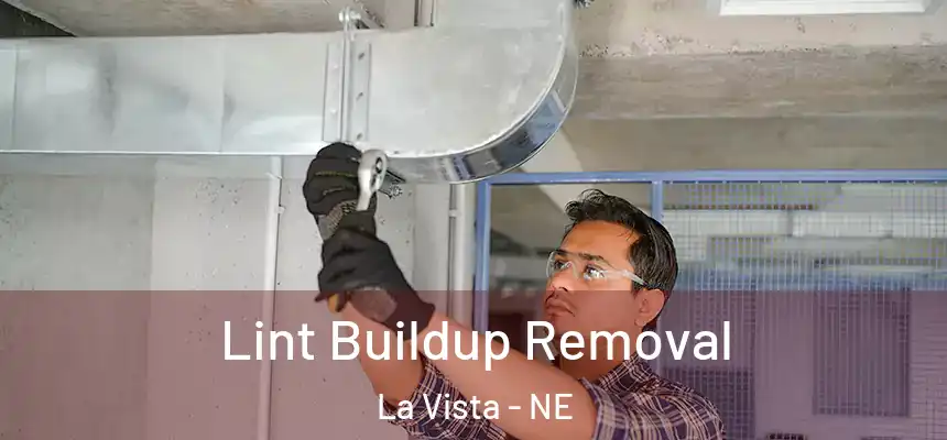  Lint Buildup Removal La Vista - NE