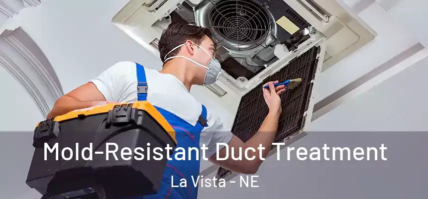  Mold-Resistant Duct Treatment La Vista - NE