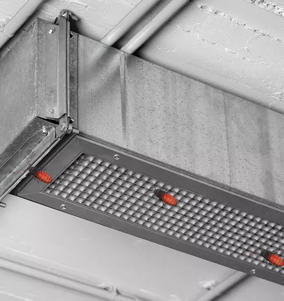 Affordable Insect Removal from Air Ducts in La Vista, NE