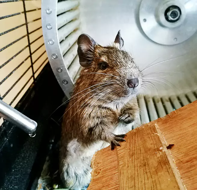 Why Homeowners & Businesses Trust Us La Vista, NE