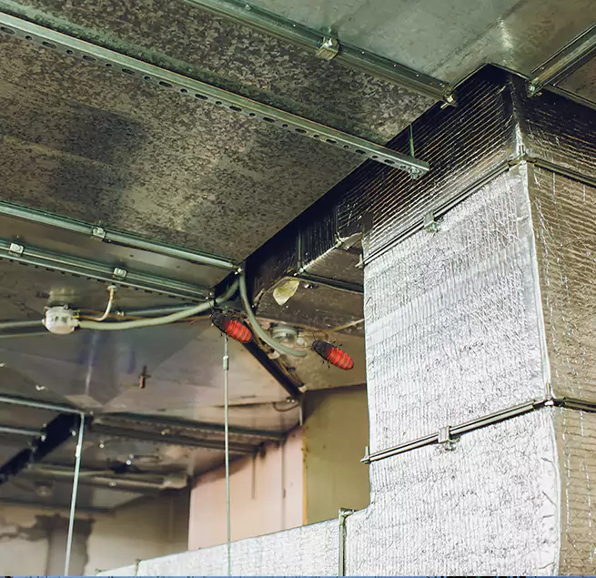 Why Homeowners & Businesses Trust Us La Vista, NE?